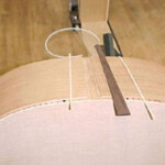 End graft ready for glue up